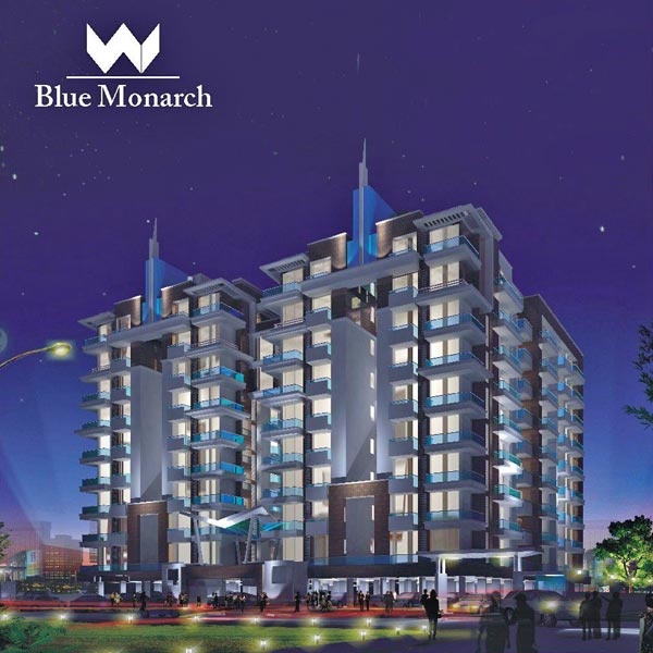 Parth Blue Monarch